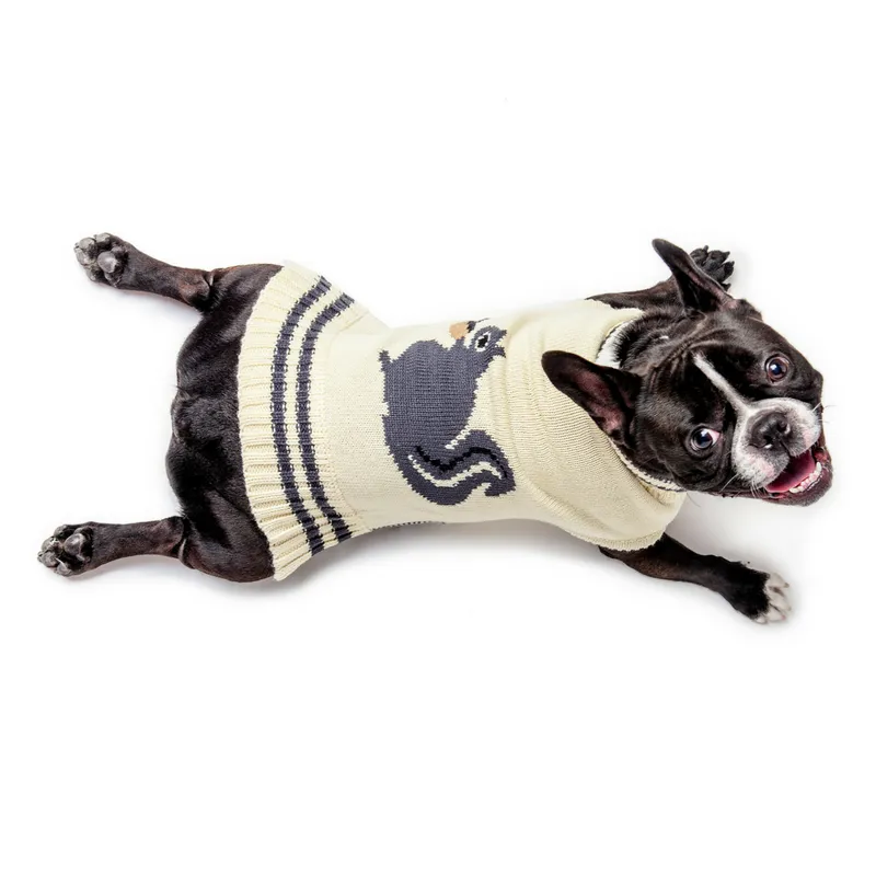 Fab Dog Squirrel Sweater