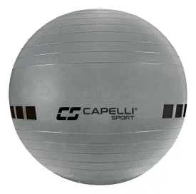 Pelota de Ejercicios de 65CM Texturizada