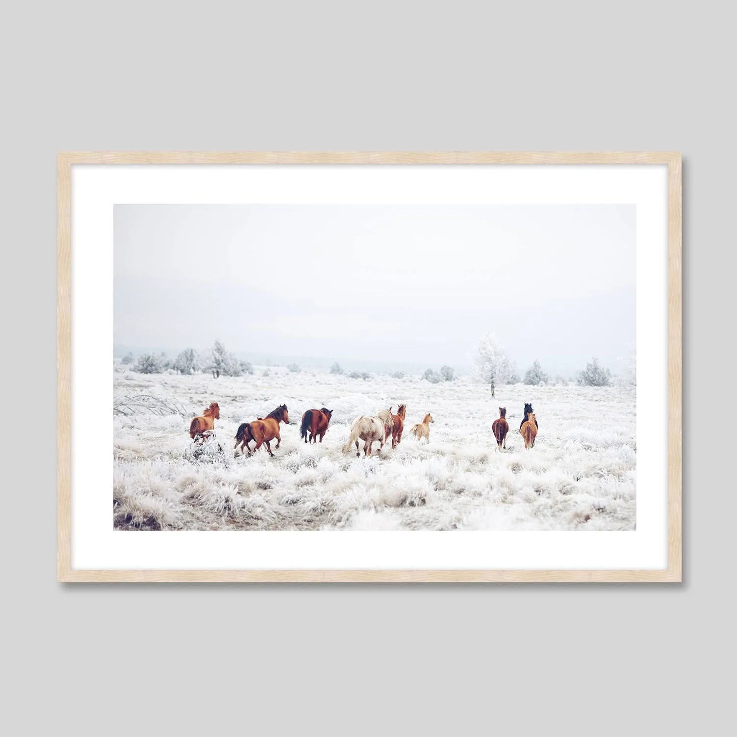 Winter Horses