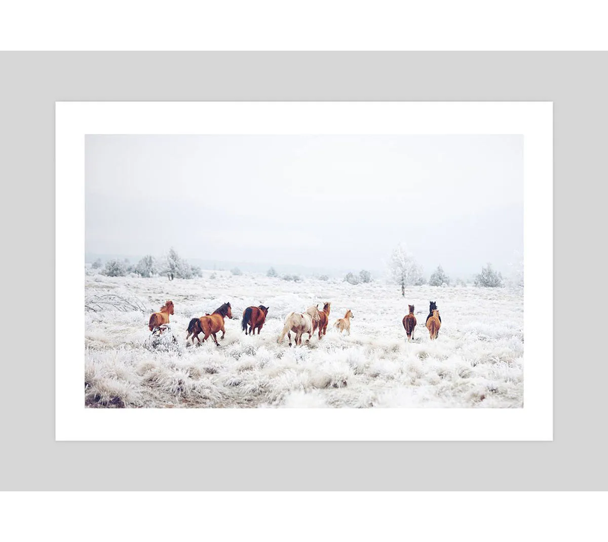 Winter Horses