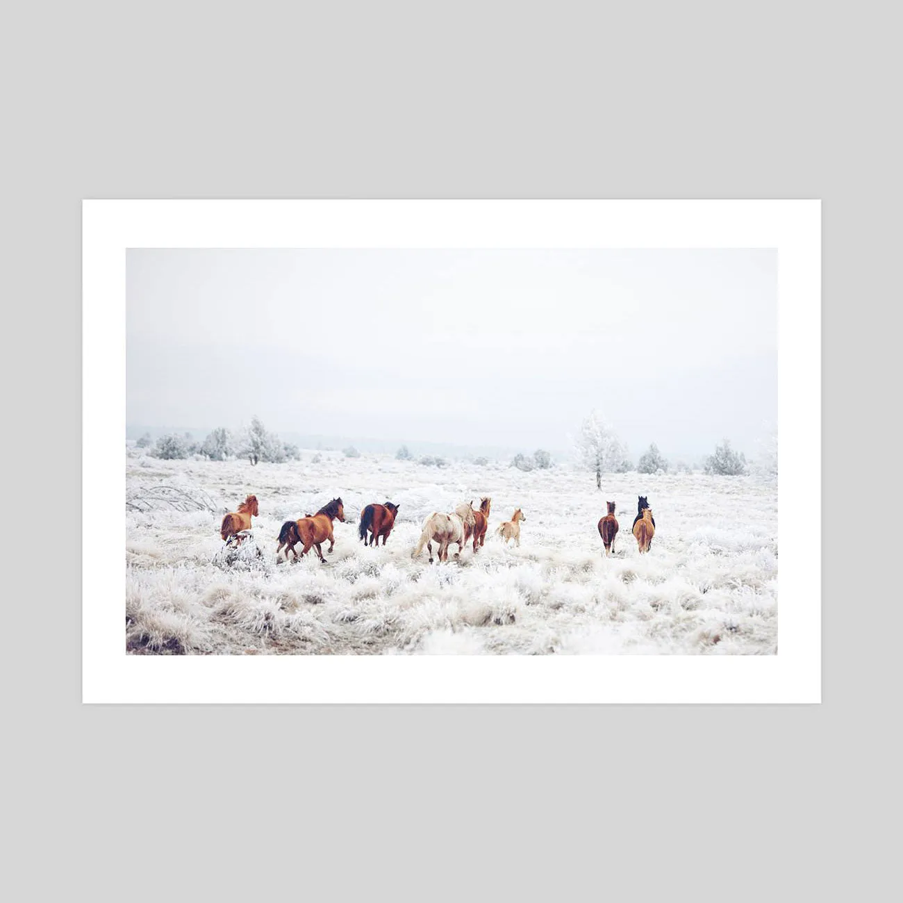 Winter Horses