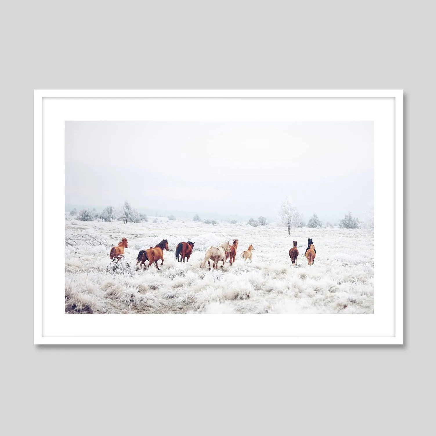 Winter Horses