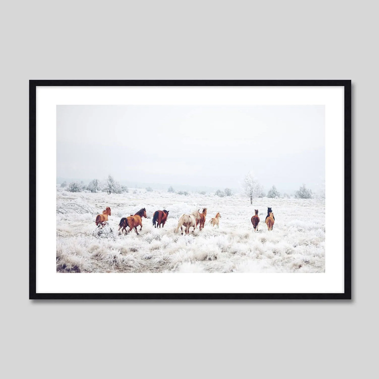 Winter Horses